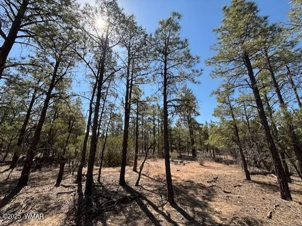 181 S Cliffrose Ln, Show Low, AZ 85901