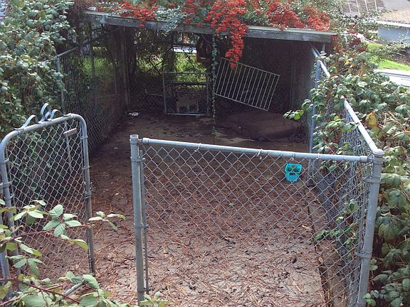 5th image of 6463 Sierra Dr