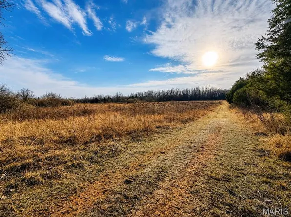 2556 Birch St, Doe Run, MO 63637
