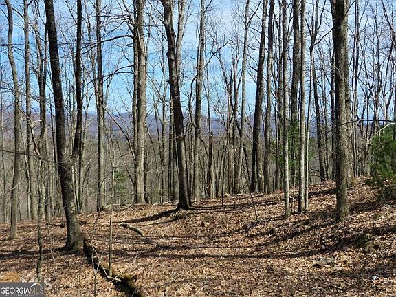 5th image of 0 Deer Run