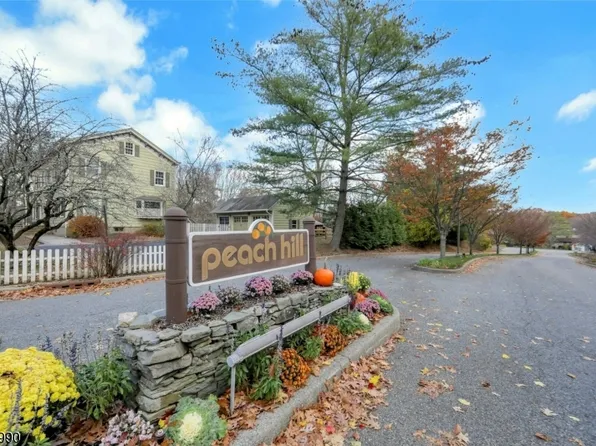 18 Peach Hill Ct, Ramsey Boro, NJ 07446