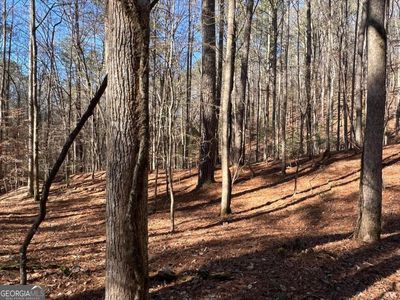 18 Lily Ln, Ellijay, GA, 30540