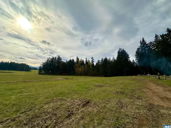 Nka S Bagley Creek Rd, Pt Angeles, WA 98362