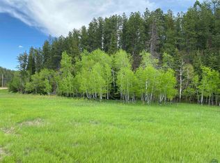 5 Benchmark Rd, Nemo, SD 57759