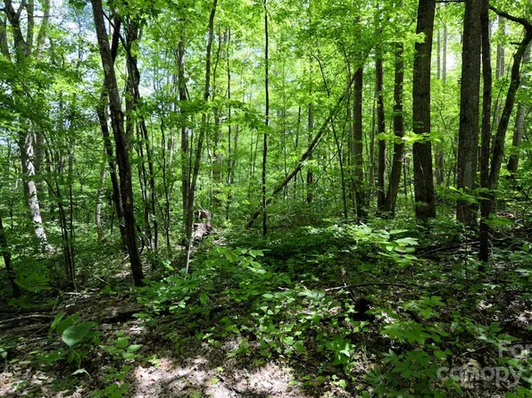 0 Riva Ridge Rd #13-B, Columbus, NC 28722