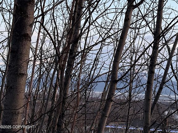 5th image of 7000 W Moose Ridge Cir