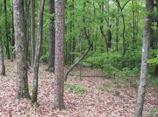 LOT 13 Abbott Mill Rd, Ellijay, GA 30540