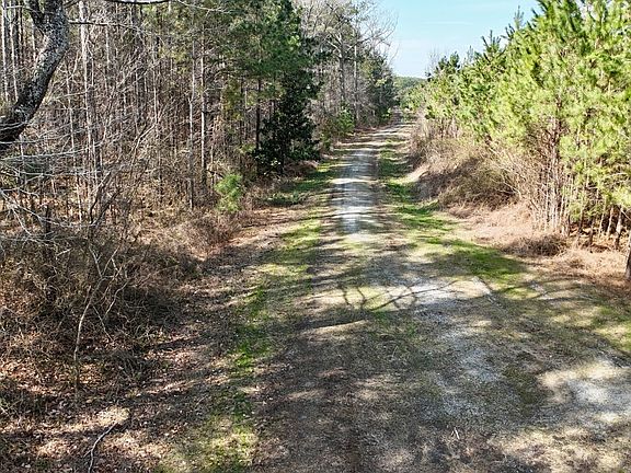 3rd image of 0 Bluefoot Rd