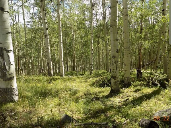 #TBD USFS RD 763 Road, Pitkin, CO 81241