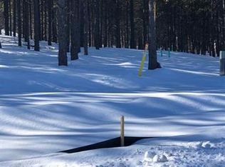 1398 Millstone Ln, Woodland Park, CO 80863