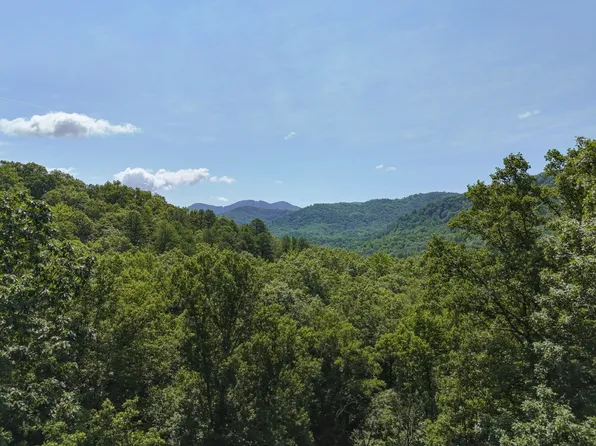 201 Ironwood Ln, Black Mountain, NC 28711