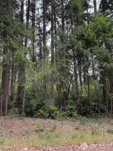 10419 Matthews Way, Anderson Island, WA, 98303