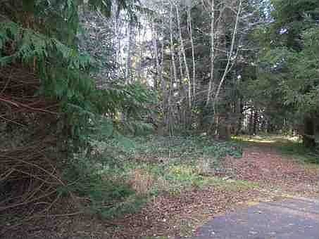 2nd image of 500 Tedsen Ln