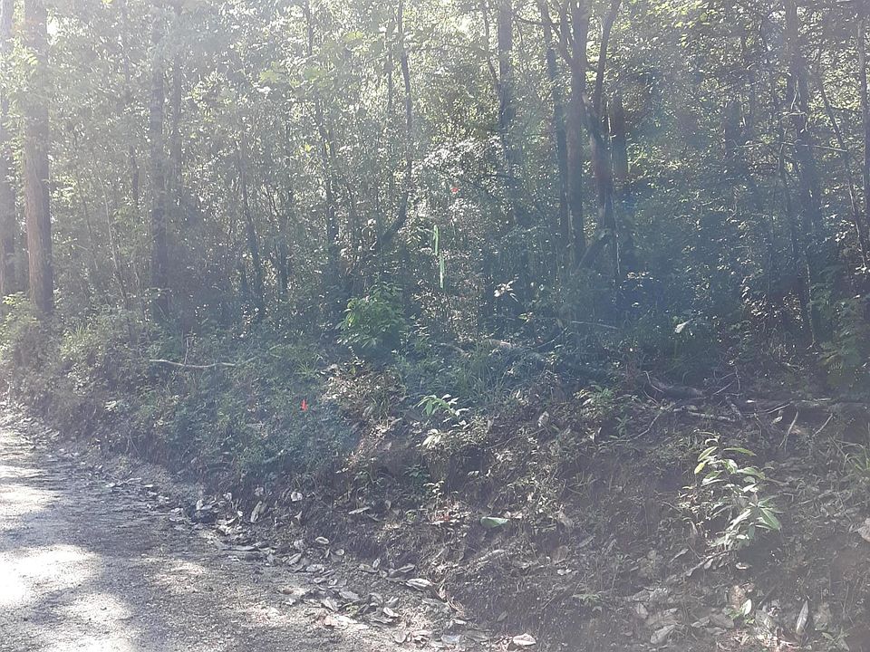 2nd image of Hewett Rd