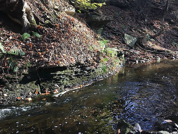 3rd image of 399 Long Rd