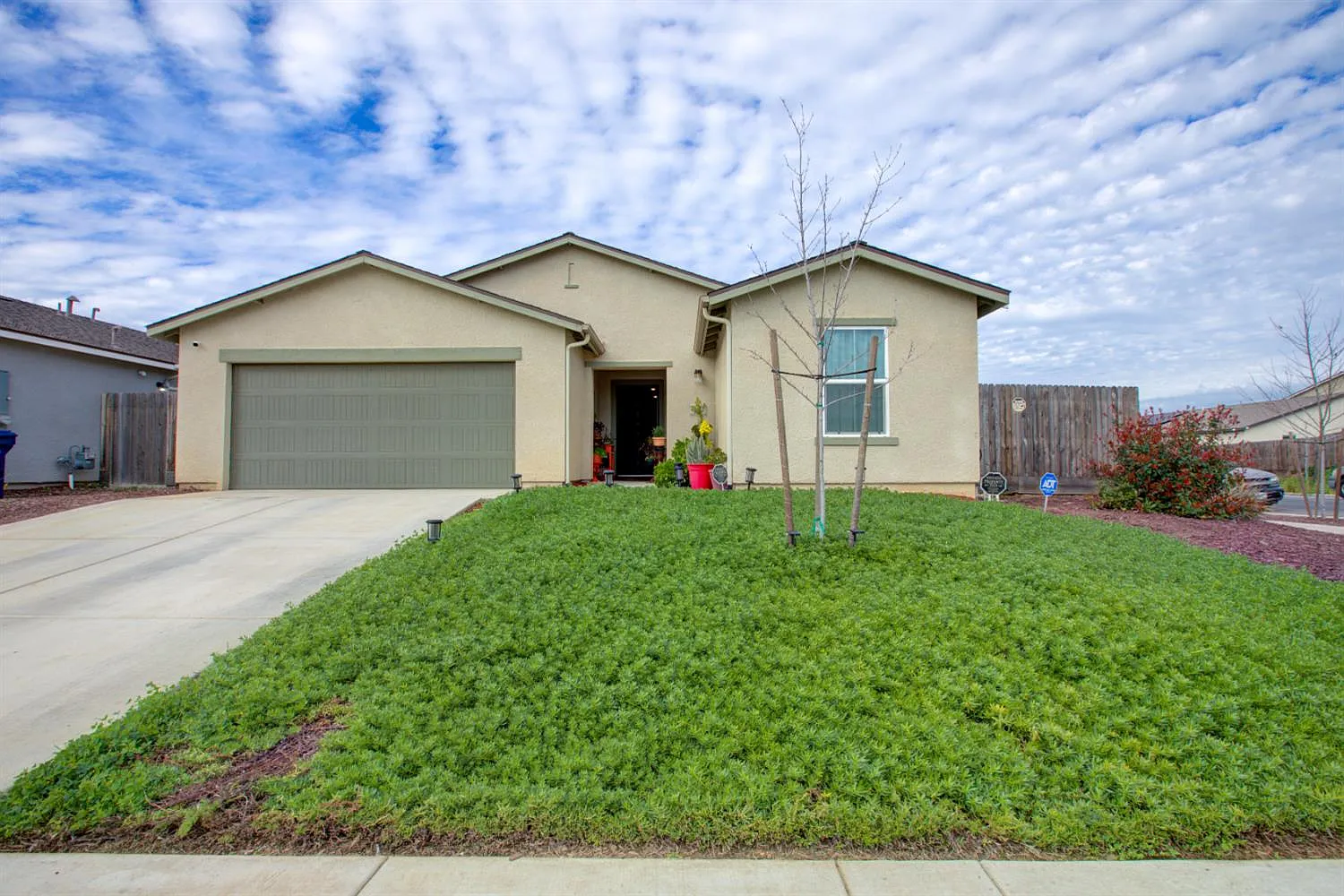 295 Bryce Canyon Ct photo 1