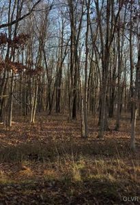 3875 Snowshoe Trl, East Stroudsburg, PA, 18302