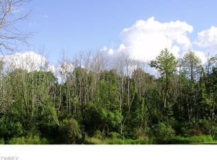 436 W 130th St, Brunswick, OH 44212