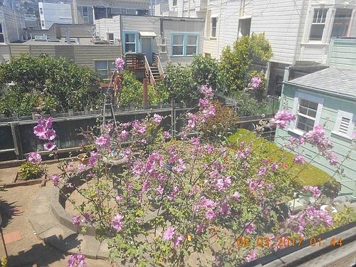 3rd image of 3773 24th St #B