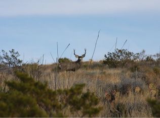 Herman St, Terlingua, TX 79852