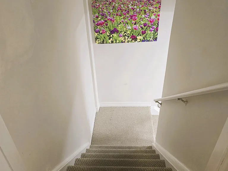 7285 Gagliano Dr — Photo 37