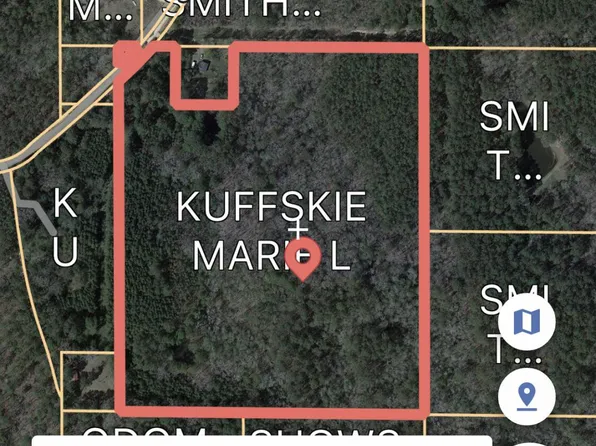 No Shows Rd, Waynesboro, MS 39367