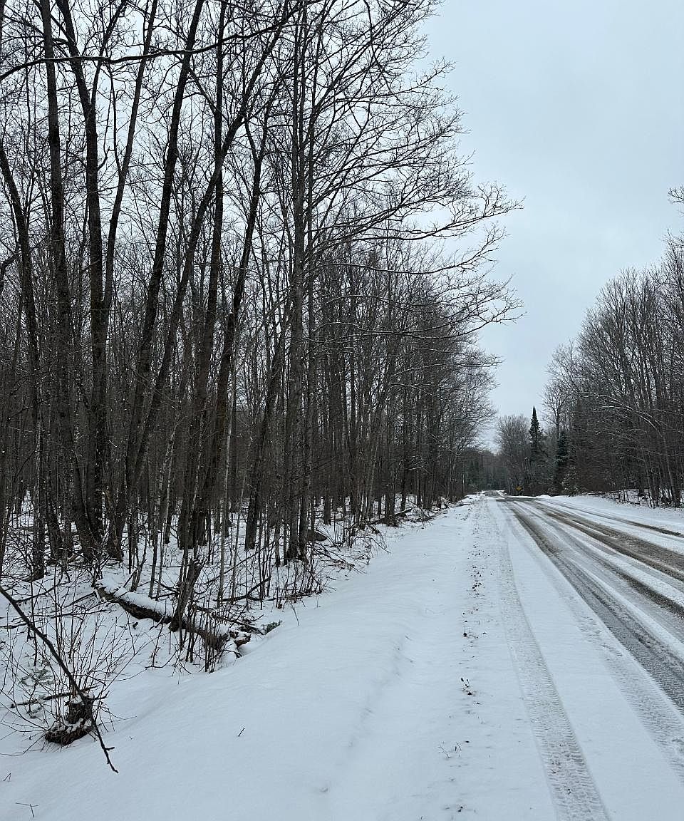 LOT On Dream Lake Rd, Laona, WI 54541 Zillow