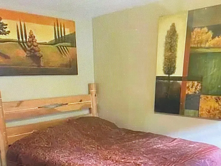 107 Peaks View Ct #323 — Photo 12