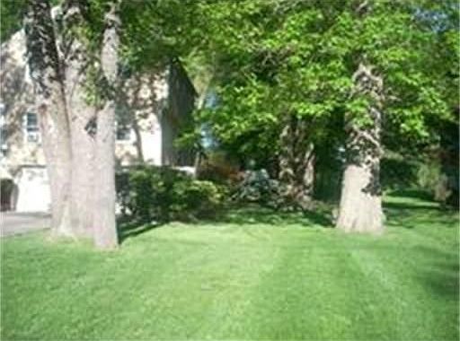 2nd image of 115 Linden Dr