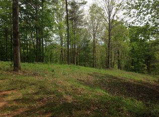 337 Hyalite Rd W, Dahlonega, GA 30533