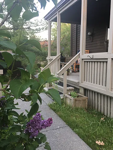 81 Lois Ln Photo 1