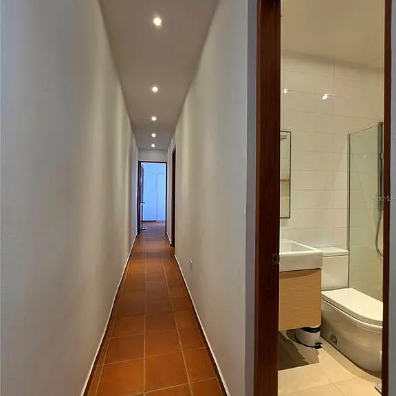 258 Luna — Photo 14