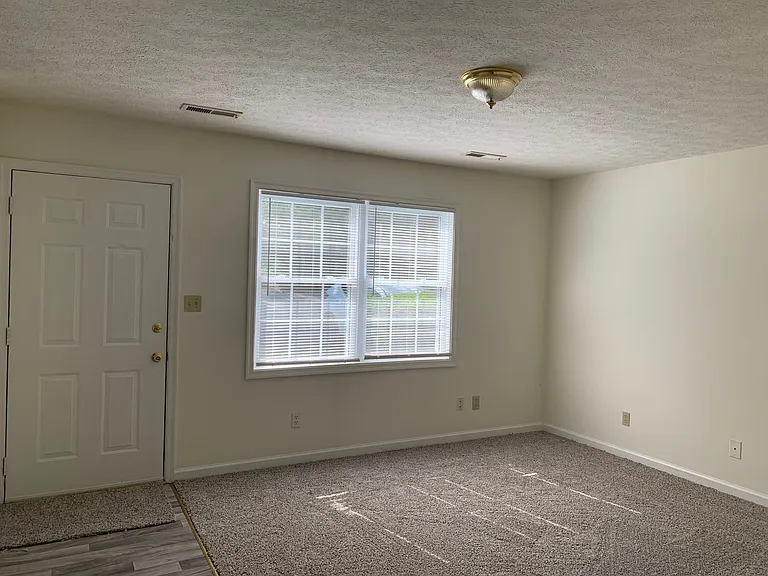 101 1/2 Hampden Dr — Photo 3