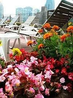 Rented by Yoram Adin, LREB | media 16