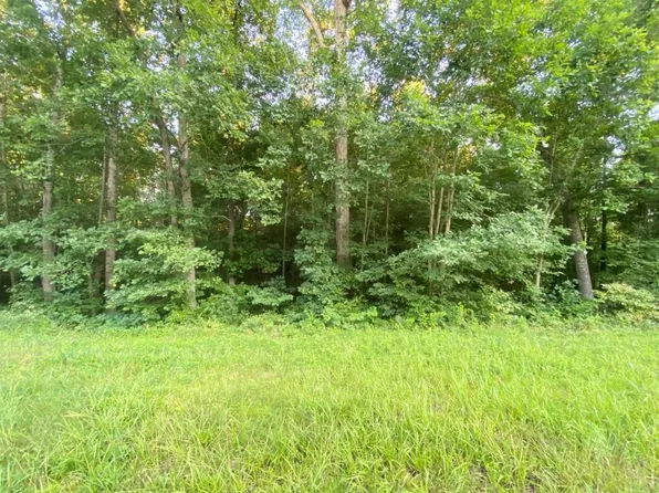LOT 6B Boydton Plank Rd #Us-1, Warfield, VA 23889