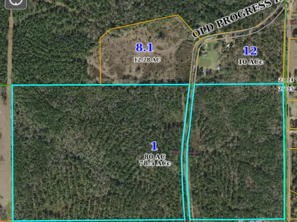 0 Old Progress Rd, Moselle, MS 39459