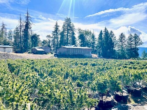 20/ACRE S Burr Valley Rd, Bridgeville, CA 95526