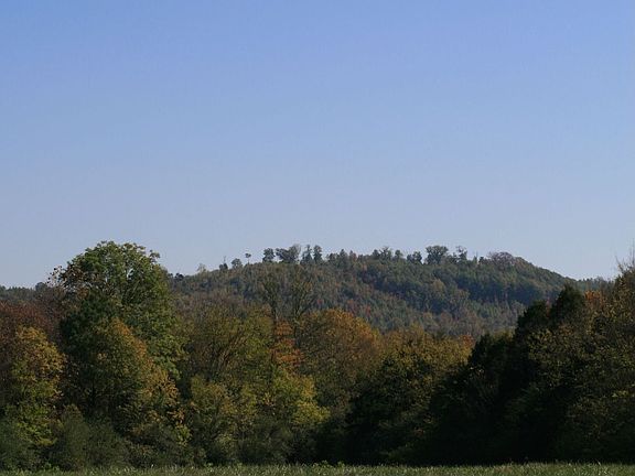 country setting while still convenient to schools and shopping