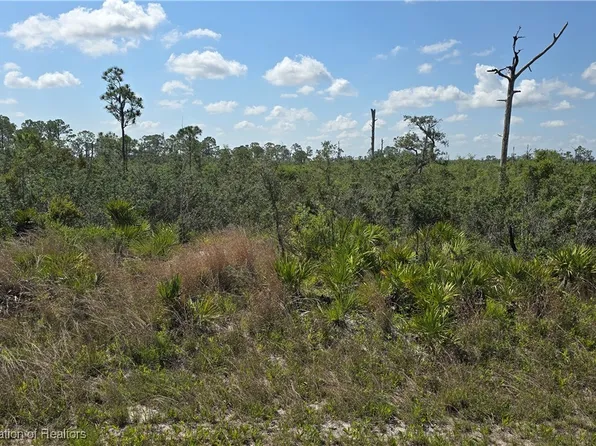 3116 Emory Ave, Lake Placid, FL 33852