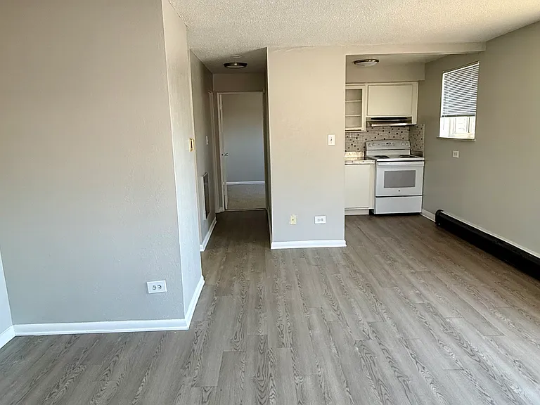 1121 N Ogden St #205 — Photo 11