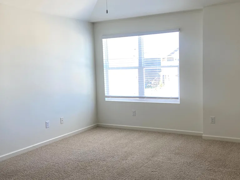 252 Chelsea Park Dr — Photo 20
