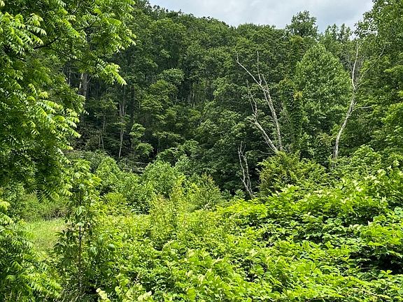 5th image of 1771 Hughes Gap Rd