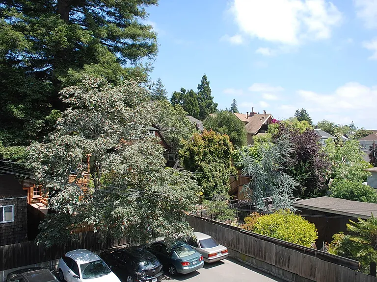 View from window