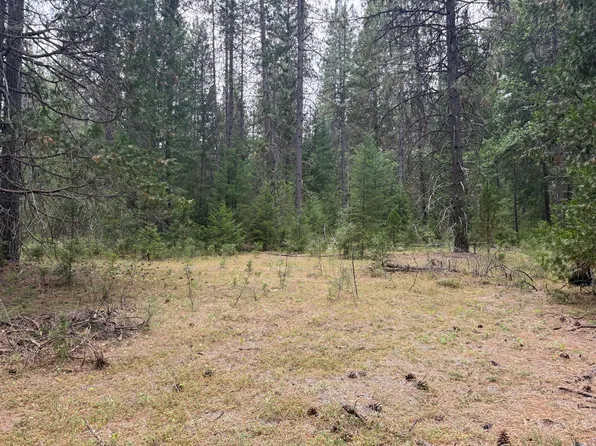 410 Gratten Flat Rd, Trinity Center, CA 96091
