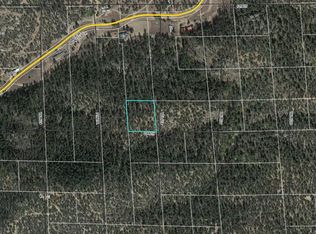 775 D Path, Cotopaxi, CO 81223