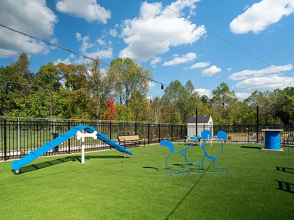 Dog Park