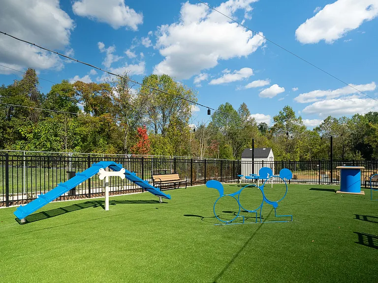 Dog Park