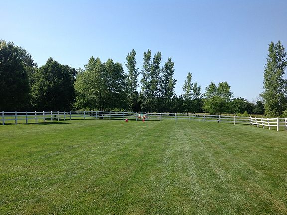 View out back door