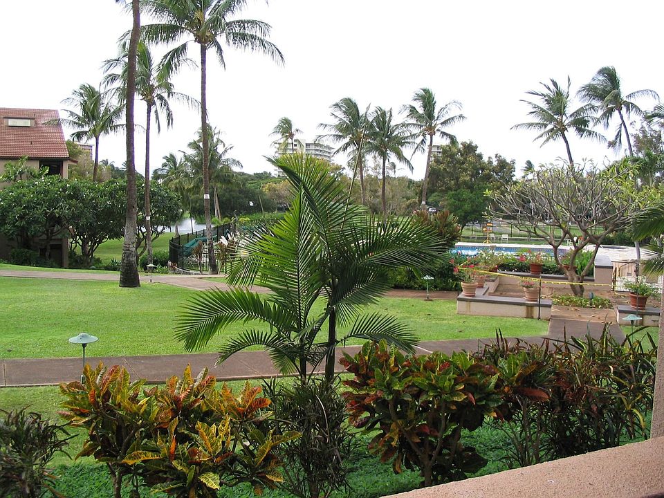 View from Lanai