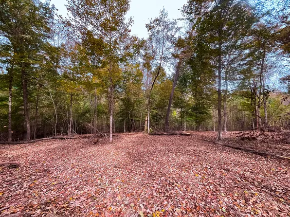 5 Highway 149 Lot 5, Cumberland City, TN 37050